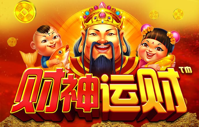 美丽的小仙宠