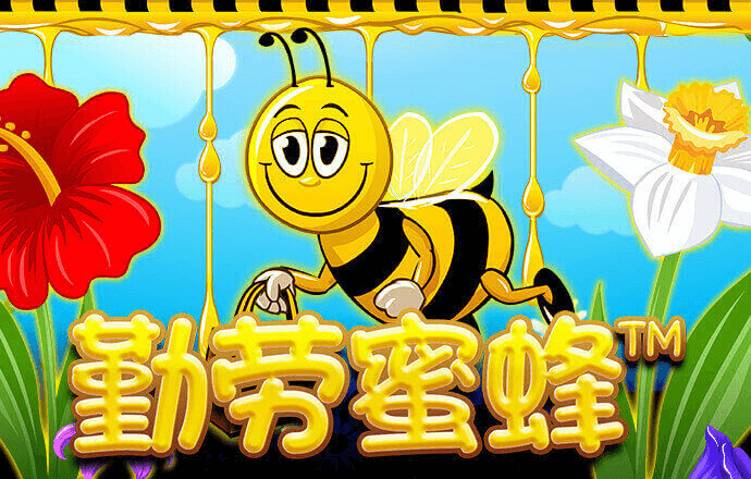 永乐国际官网app下载